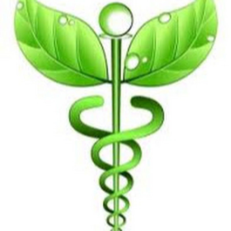 Holistic Doctor