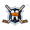 What could hockeyfights.com buy with $342.7 thousand?
