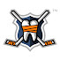 Bzqp1TUGqPA-channel-avatar-hockeyfights.com