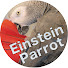 SOb5z3fWFm4-channel-avatar-Einstein Parrot