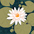@user-ho8wb8qy9c