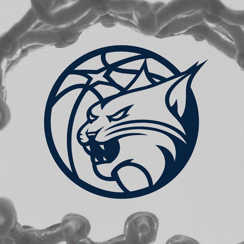 Minnesota Lynx