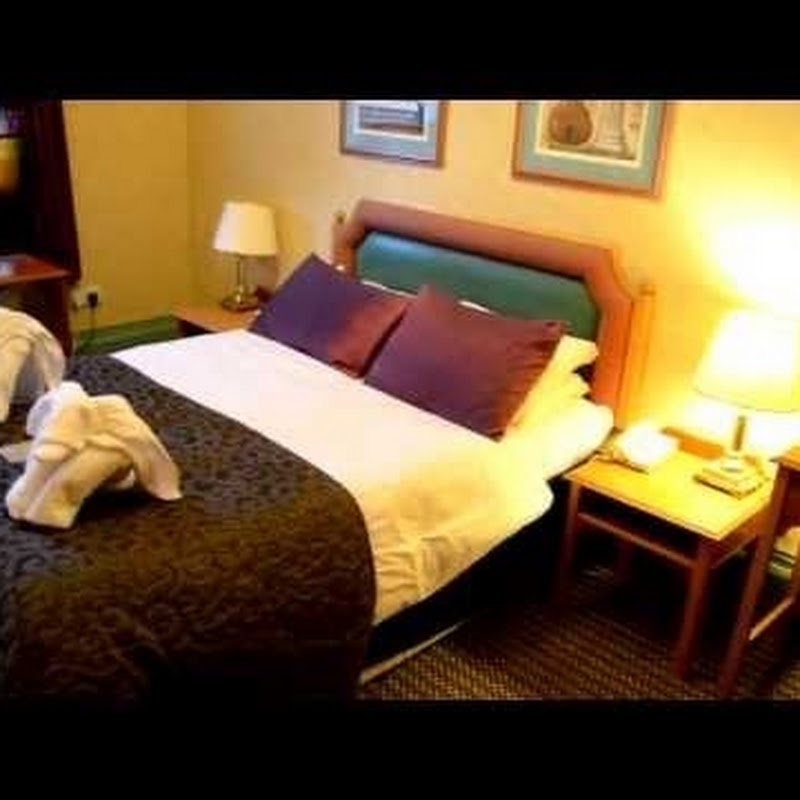 The Roaming Ferret