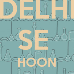 Delhisehu net worth