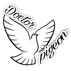 Doctor Pigeon
