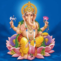 astro chinnaraj net worth