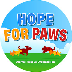 Hope For Paws - Official Rescue Channel Avatar