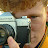 @nicnok95's avatar