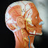 e_HwjPiC6Lk-channel-avatar-Dr. Lotz