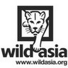 Логотип каналу wildasia