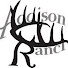 cyV3TMZn9Dk-channel-avatar-Addison Ranch