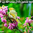 @اممرتضى-ن9ف