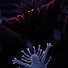 n_81bdU9x2Y-channel-avatar-Orochi84