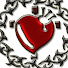 oP7lvc8fxWU-channel-avatar-Paso Morado