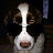 @blaauwbroekb's avatar