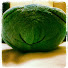 dsyZvyOhJ_Q-channel-avatar-Grateful & Generous