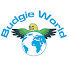 mQV00IcQIpU-channel-avatar-Budgie World