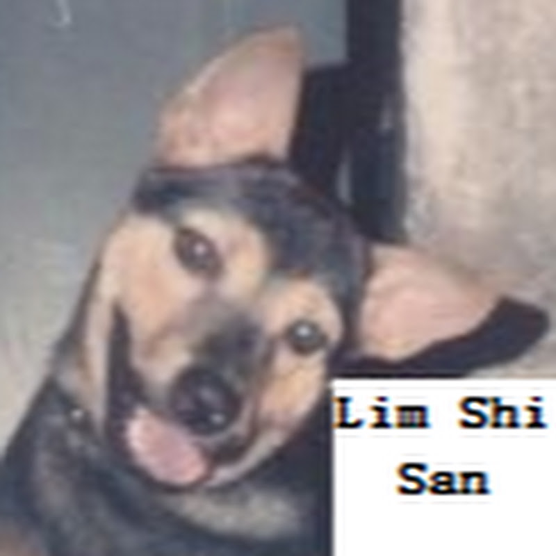 Lim Shi San