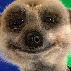 MeerkatCorrieAdverts