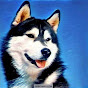 Huskymag logo