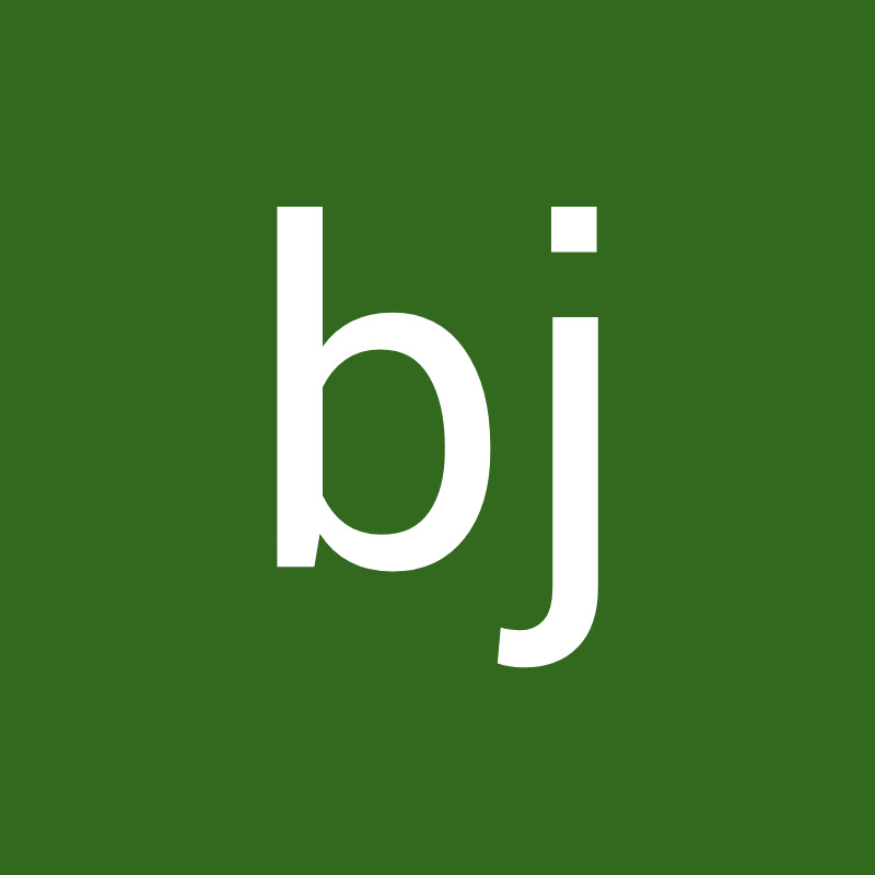 bj vlog