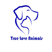 True Love Animals