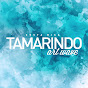 TAMARINDO ART WAVE FESTIVAL logo