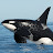 @jimquicksilver442