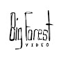 Big Forest Video [Official] logo