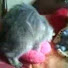 Channel Image