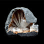 Divyam Minerals logo