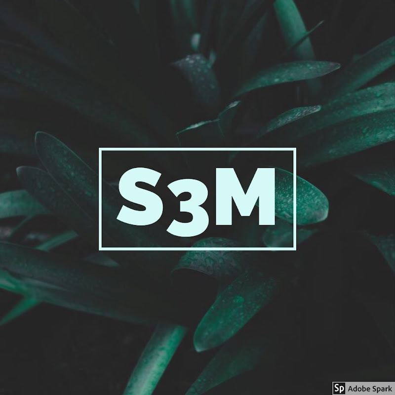 S3M