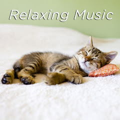 輕鬆的音樂 - Relaxing Music [BMG]アイコン画像