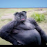 2LdZlPLznwc-channel-avatar-GUB THE CHUB