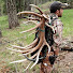YYLABjgcv2o-channel-avatar-Bone Hunter Outdoorsman