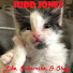 MNIHjQmwn_8-channel-avatar-Judd “GannonSlayer” Jones