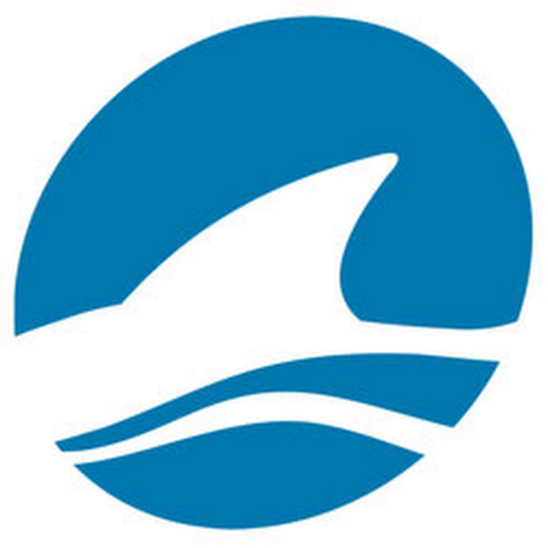 Lone Shark Games