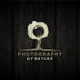 EDITING PHOTOGRAPHY logo