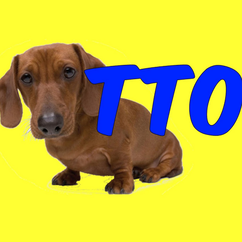 TodoTutorialesOnline