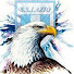 Channel Image