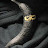 @lambotsheperd757 Avatar