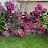 @user-qh7rj9wj4p Avatar
