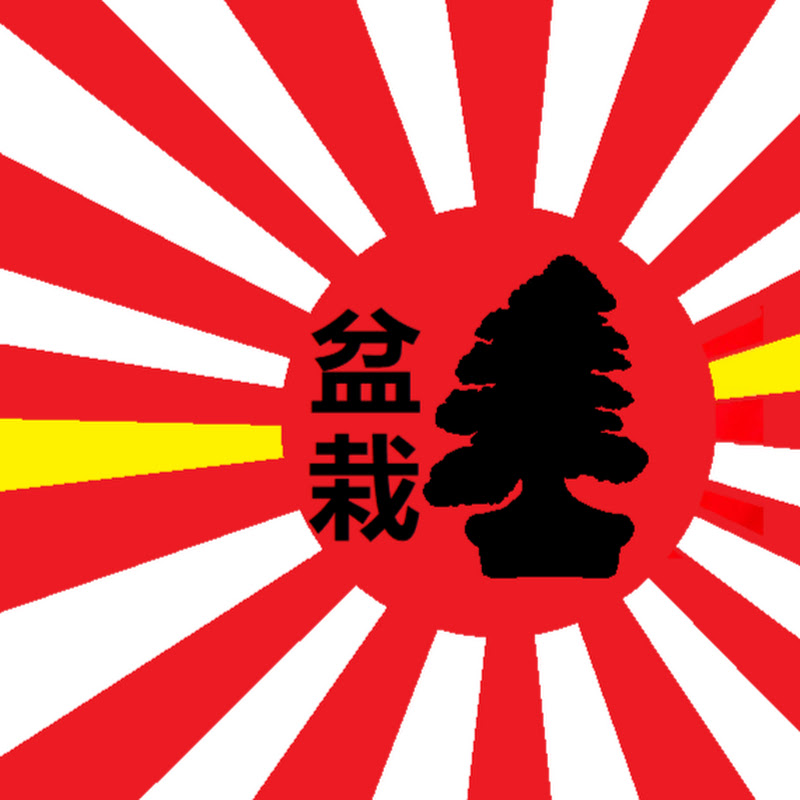 Bonsai Facil