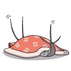 紙魚のことアイコン画像