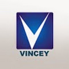 Vincey Productions net worth