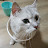 @user-ul7cz5qd7v