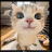 @kennylee2858