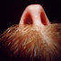 wtZOWEB_wcI-channel-avatar-JustinQuinnell