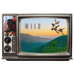 DeeWildtv