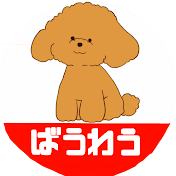 ばうわうちゃんねる【VOWWOW運動公園店】